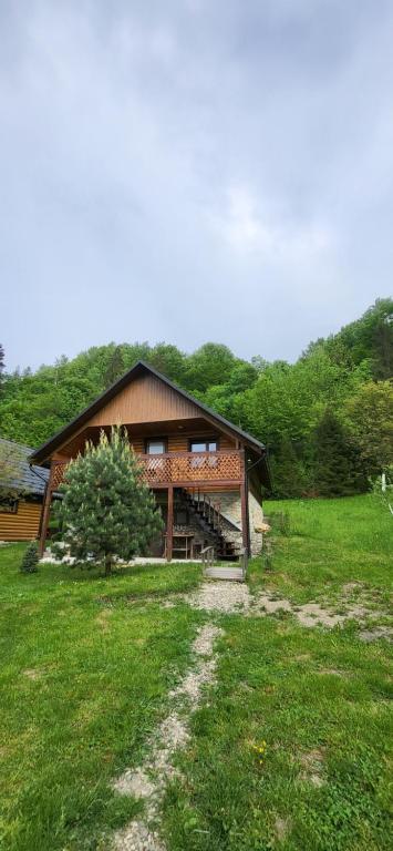 a house in a field next to a grass field at Під горою in Sheshory