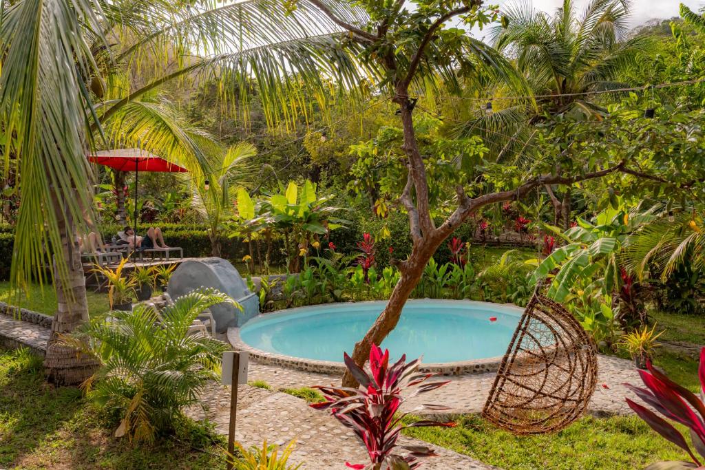 a pool in a garden with a palm tree at Magic Green Dentro del Parque Tayrona in El Zaino