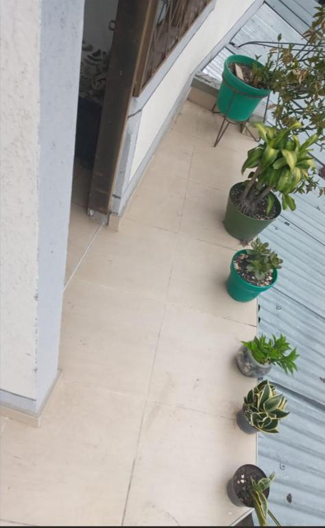 a porch with several potted plants on the floor at LaHouse in Cali