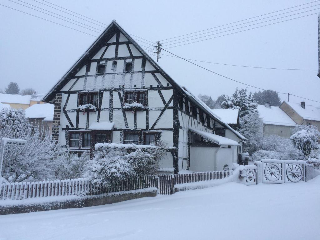 Das Pautzen Haus v zimě