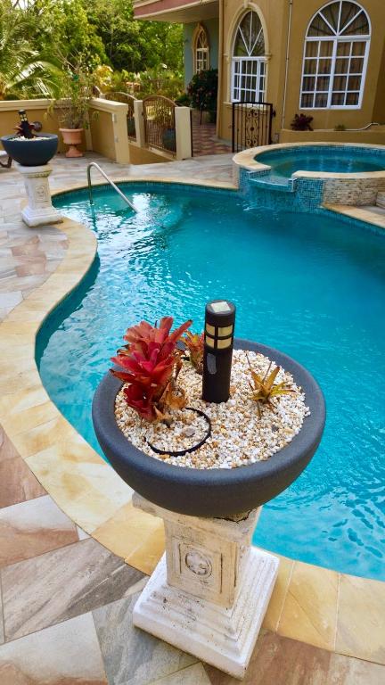 a swimming pool with a fountain in front of it at Paradise Place Apartments in Mount Irvine