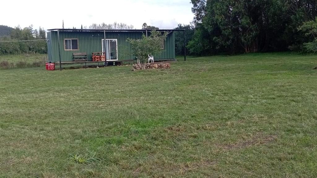 a group of animals standing in a field next to a building at Refugio Don Rogelio in Minas