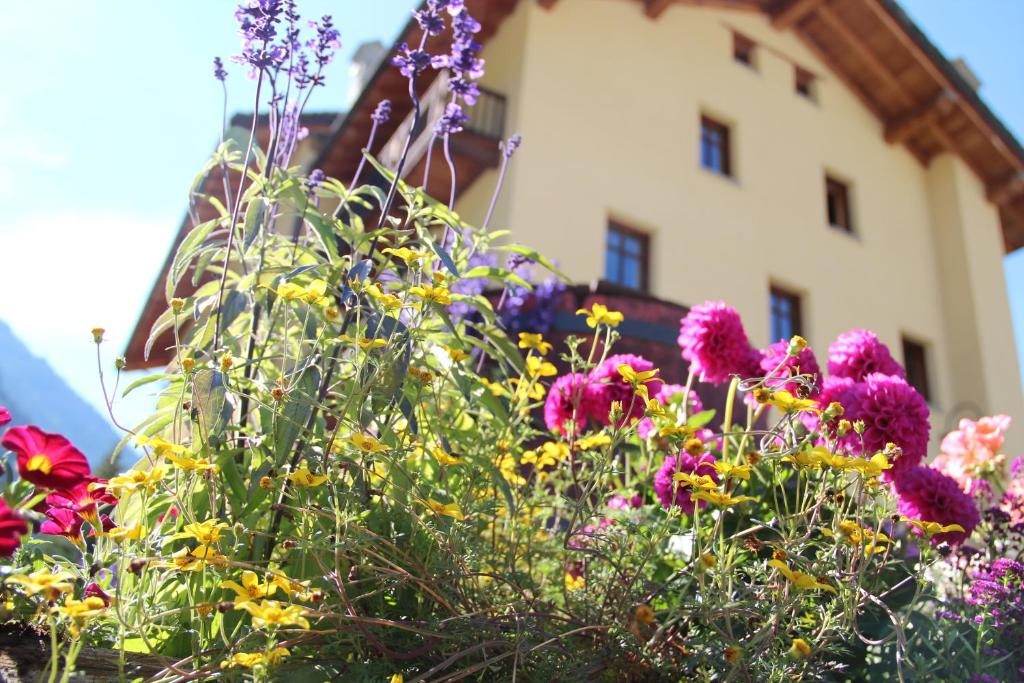Zahrada ubytování Hotel Lyshaus