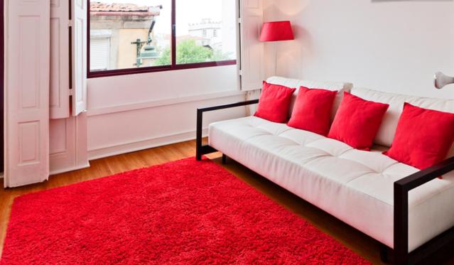 ポルトにあるvitoria flatのリビングルーム(白いソファ、赤い敷物付)