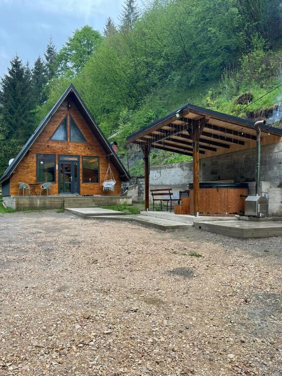 a log cabin with a picnic table in front of it at Cabana Doi Brazi A-FRAME in Dămuc