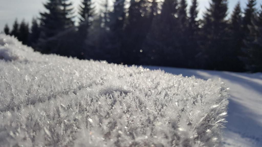 Chata Alpina v zimě