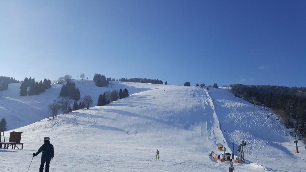 Chata Alpina v zimě