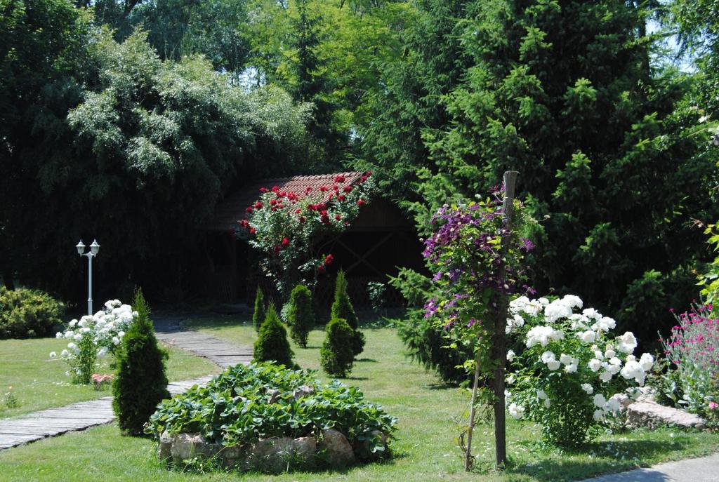 A garden outside Villa Hedi