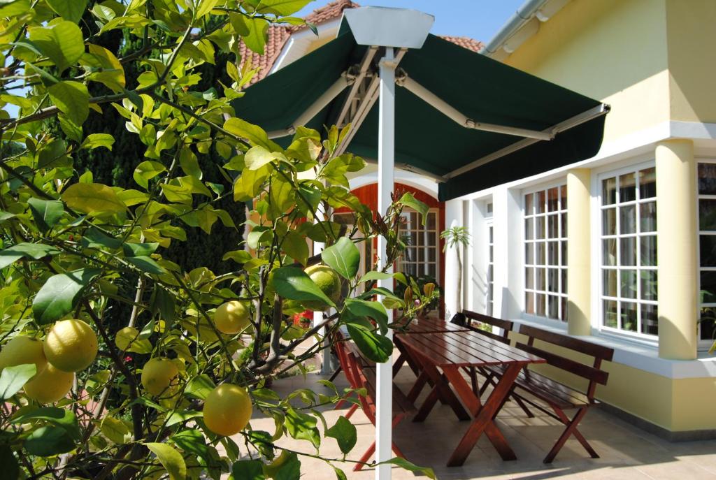 A garden outside Villa Hedi