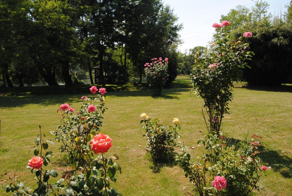 A garden outside Villa Hedi