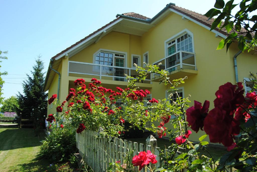 A garden outside Villa Hedi