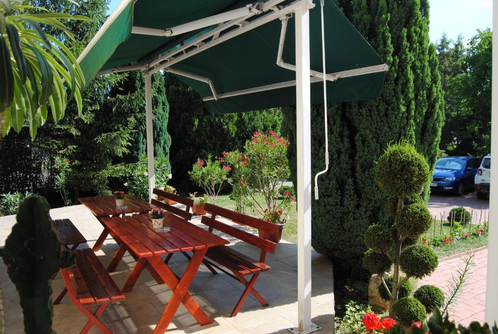 A garden outside Villa Hedi
