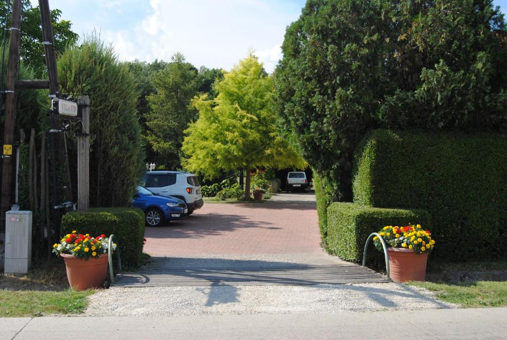 A garden outside Villa Hedi