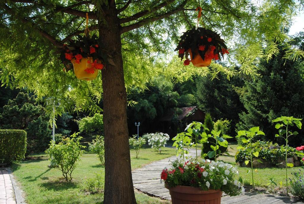 A garden outside Villa Hedi