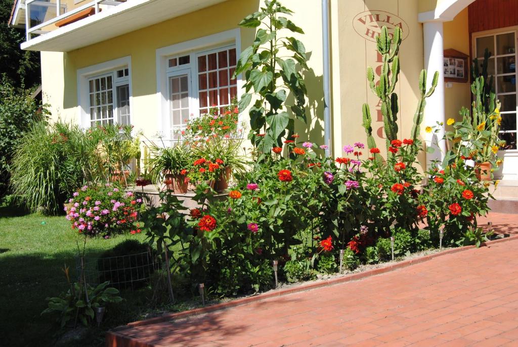 A garden outside Villa Hedi
