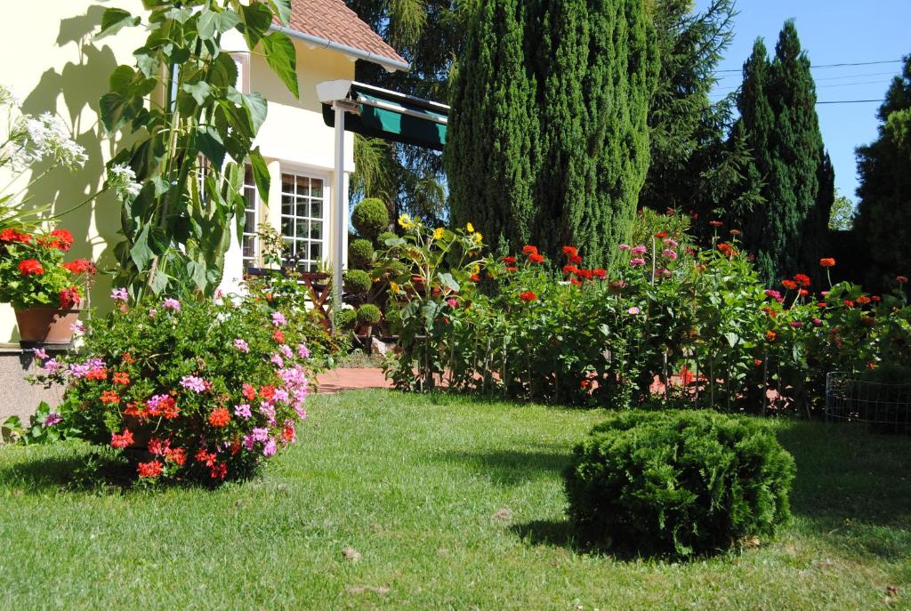 A garden outside Villa Hedi