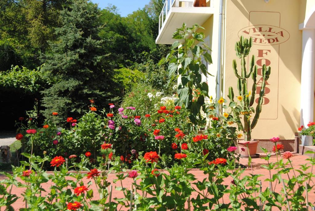 A garden outside Villa Hedi