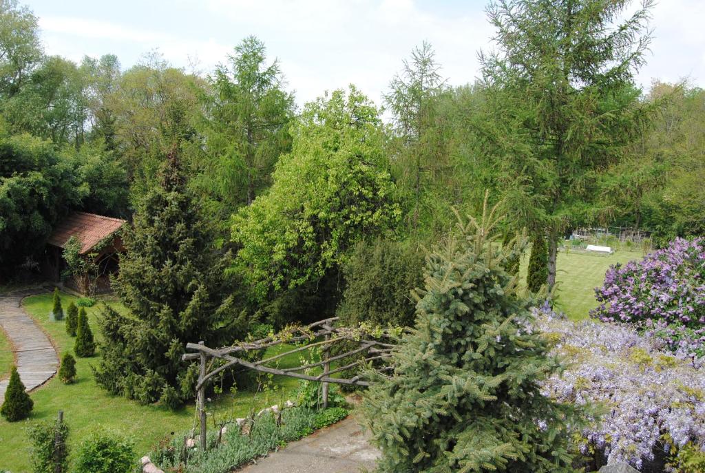 A garden outside Villa Hedi