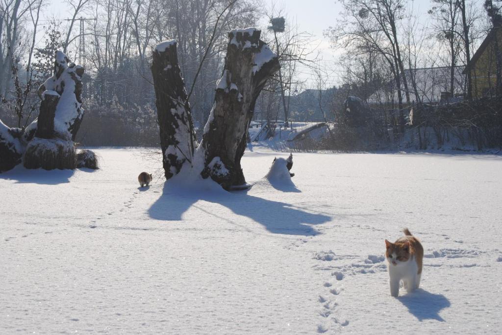 Villa Hedi during the winter