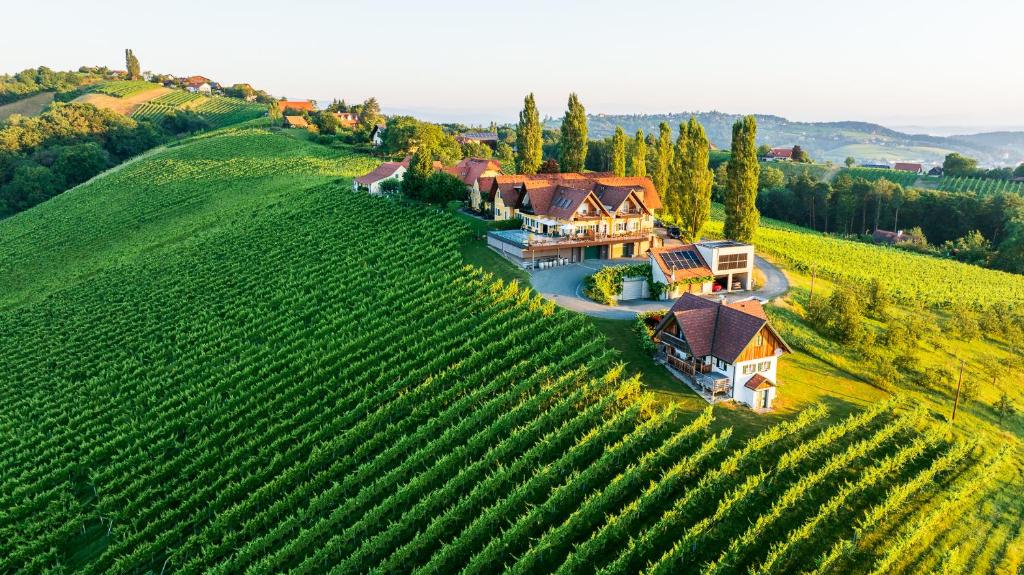 an aerial view of a house on a hill with a vineyard at Weinquartier Pichler-Schober in Mitteregg