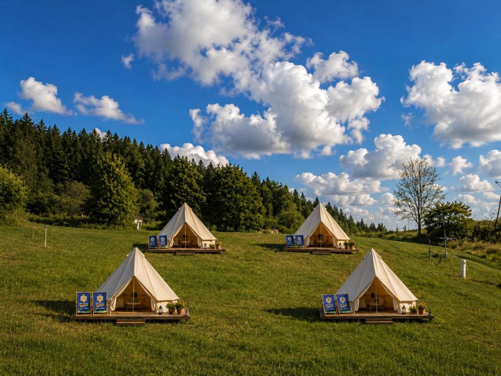 a group of four tents in a field at Zimnik Camp in Lipowa