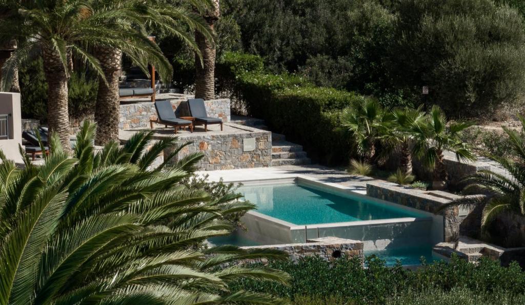 a swimming pool in a yard with palm trees at Paralos Irini Mare in Agia Galini