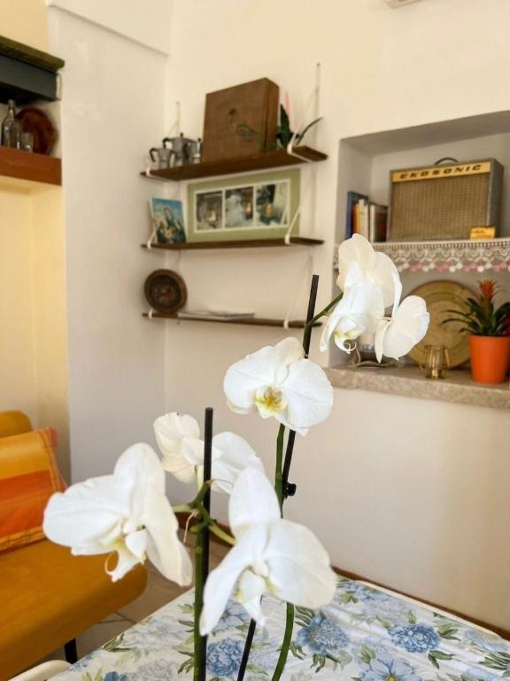 a vase with white flowers sitting on a table at Casavacanze Salento Spani in Veglie
