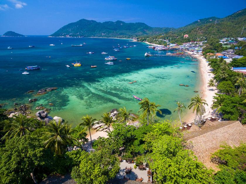a beach with palm trees and boats in the water at Bird Nest Hostel in Ko Tao
