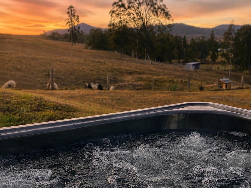 a bath tub filled with water in a field at Tangory Farmstay in Glendon Brook