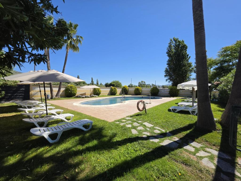 a pool with chairs and umbrellas in the grass at Hotel Don Manuel in Ronda