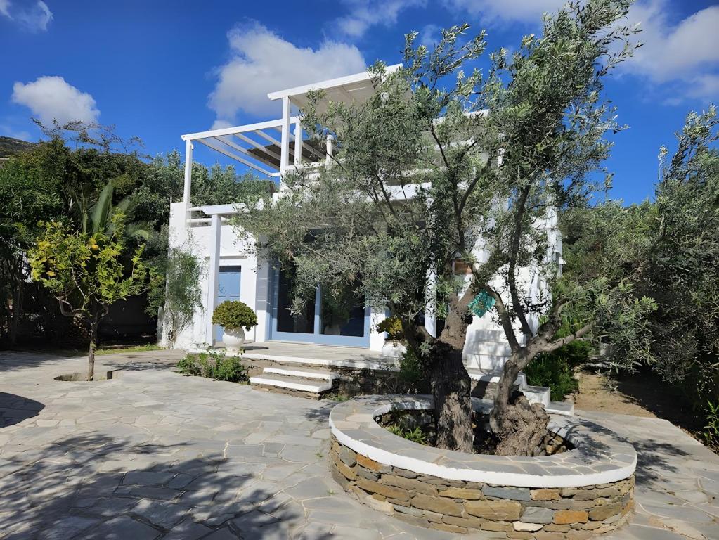 a white house with a tree in front of it at Villa Thalassa - Vathy in Sifnos