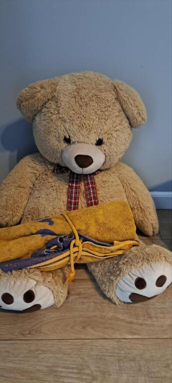 a large brown teddy bear sitting on the floor at AndyRa in Agigea