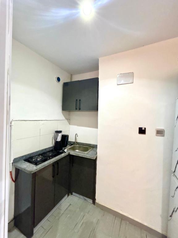 a small kitchen with a sink and a stove at Stylish Studio Near Jabi Mall in Gwarinpa