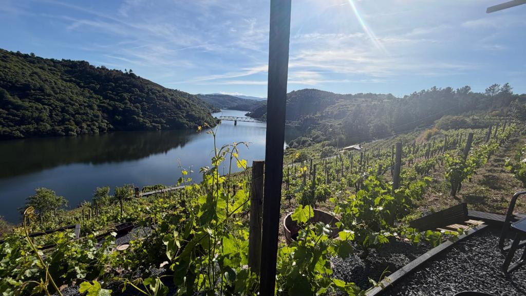 a view of a river from a winery at Mourulle in Insúa