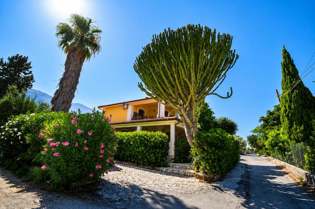 a house with a palm tree and bushes at Amunì da Vita e Pietro in Carini