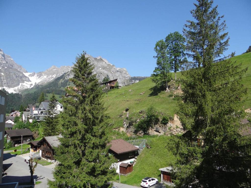 a group of houses on a green hill with trees at Apartment Sunnmatt 752 by Interhome in Engelberg