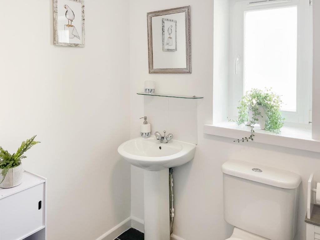 a white bathroom with a sink and a toilet at Strandside Townhouse in Bude