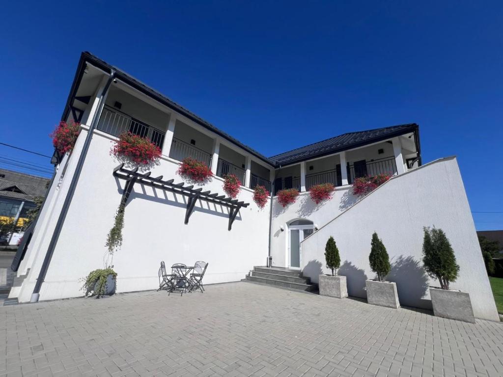 a white building with potted plants on it at Casa Bolta Rece in Sighetu Marmaţiei