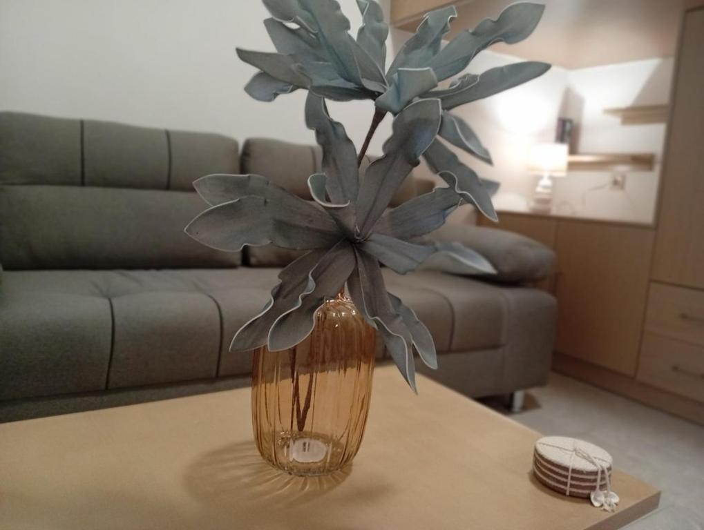a vase with a plant on a table in a living room at Kimourioti Green House in Sitia