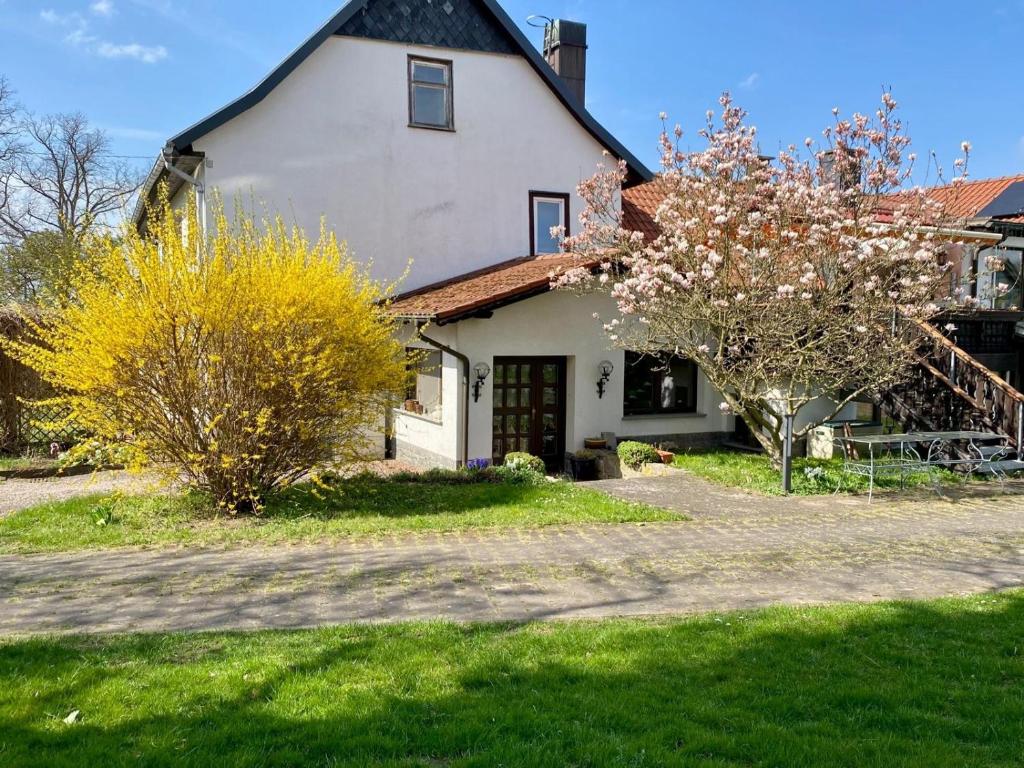 biały dom z żółtymi drzewami przed nim w obiekcie Living With Charm w mieście Stadtilm