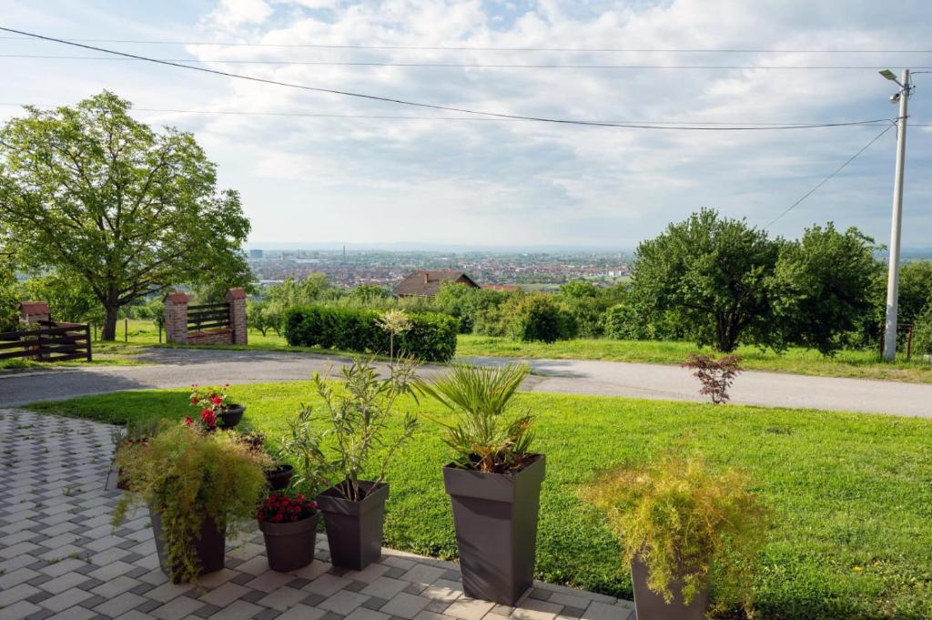 a garden with potted plants on a brick path at Kuća za odmor Serdar in Slavonski Brod
