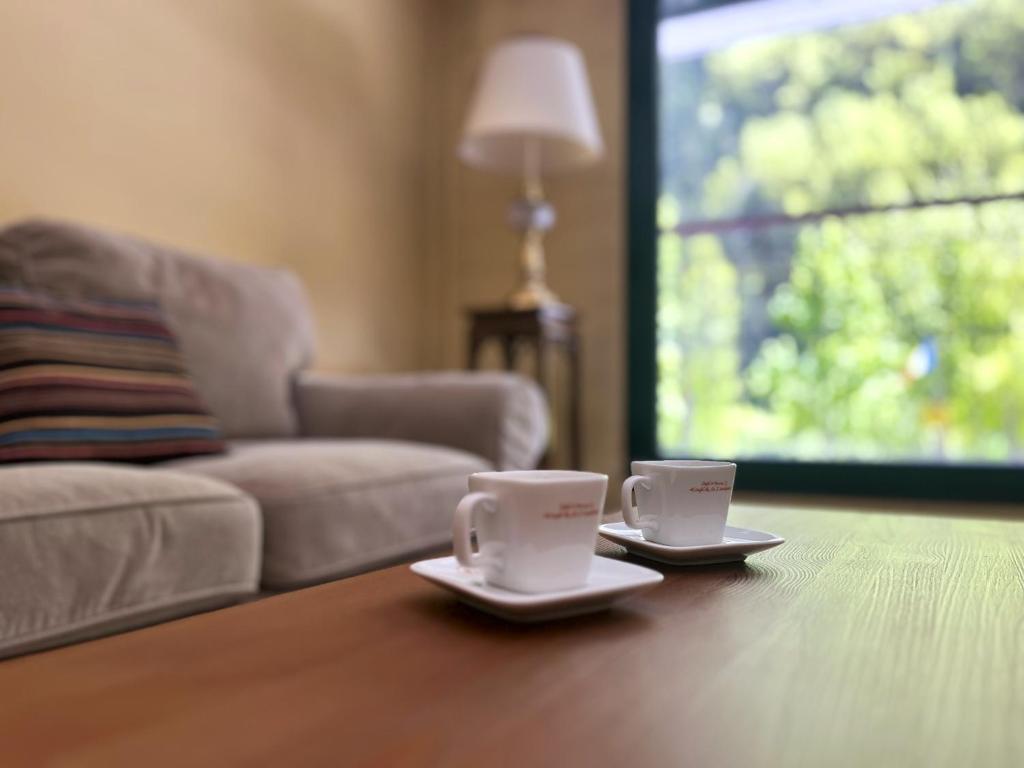 two coffee cups sitting on a table in a living room at AC Apartaments Comapedrosa Canillo in Canillo