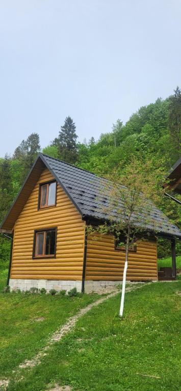 a yellow house with a tree in front of it at Під горою 2 in Sheshory