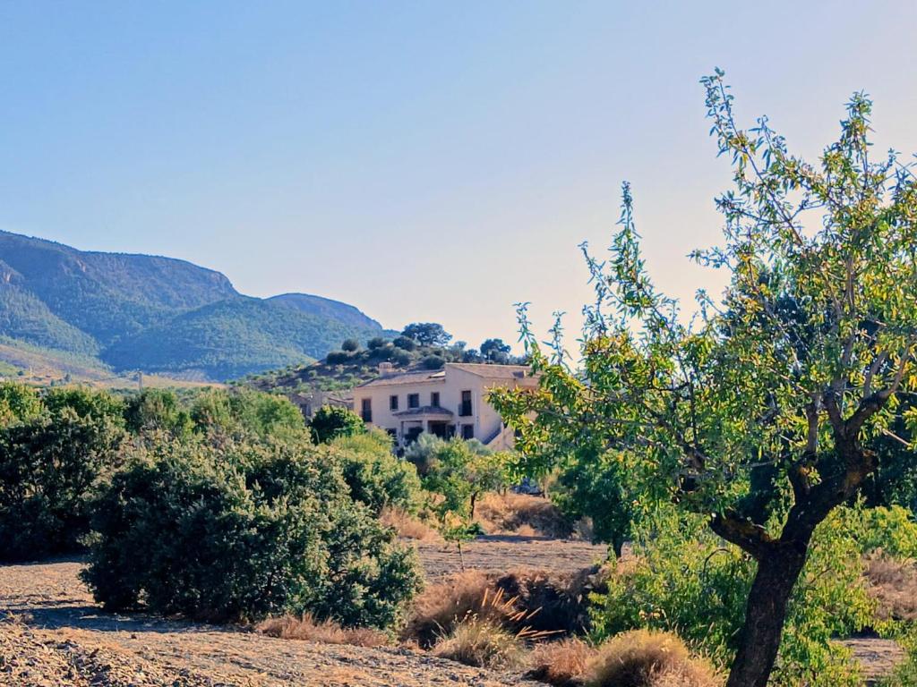 a house in the middle of a field with a tree at Casa Nuestra Roca in Vélez-Rubio