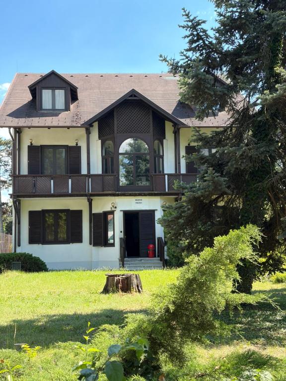 a house with a tree stump in front of it at Fenyő Liget Vendégház in Balatonlelle
