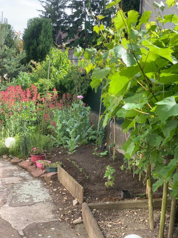 Gîte City Relax, entre nature et centre-ville – photo 17