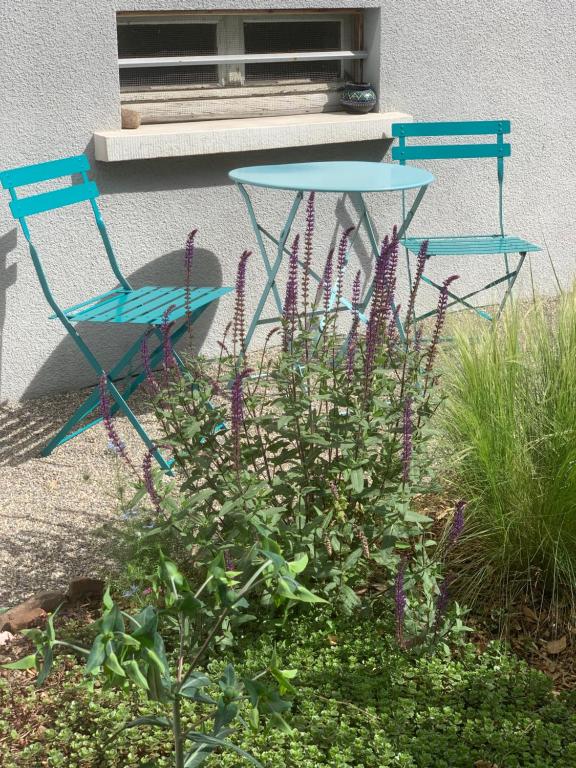 Gîte City Relax, entre nature et centre-ville – photo 15
