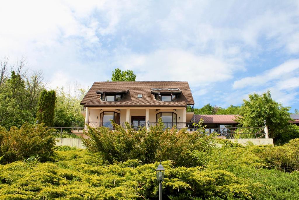 a house with a roof on top of a yard at Hidden Hills Villa in Ţipăreşti