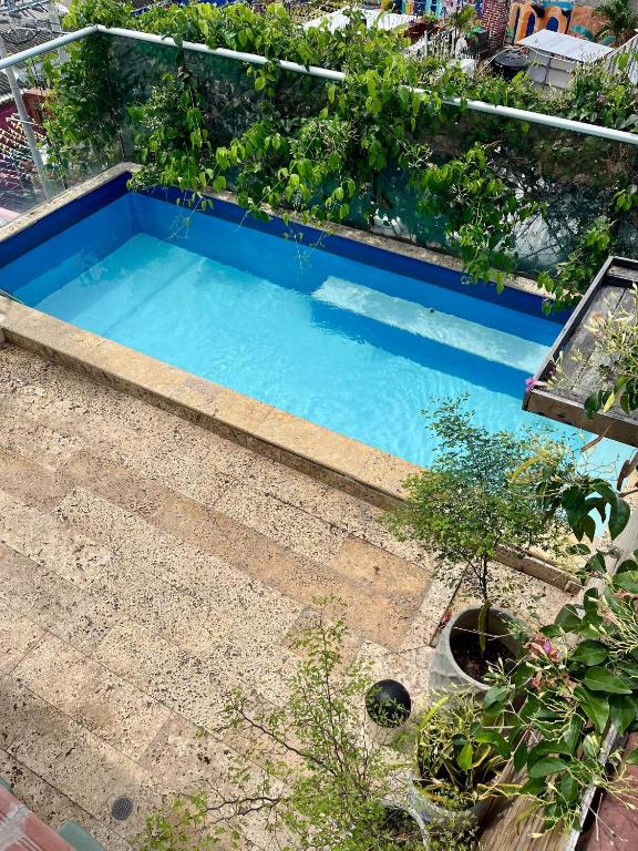 an overhead view of a swimming pool in a garden at Casa Ebano 967 in Cartagena de Indias