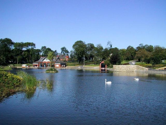 two swans are swimming in a lake with houses at QuickSpaces Alexandra Apartments in Manchester